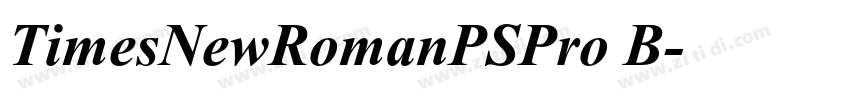 TimesNewRomanPSPro B字体转换